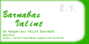barnabas valint business card